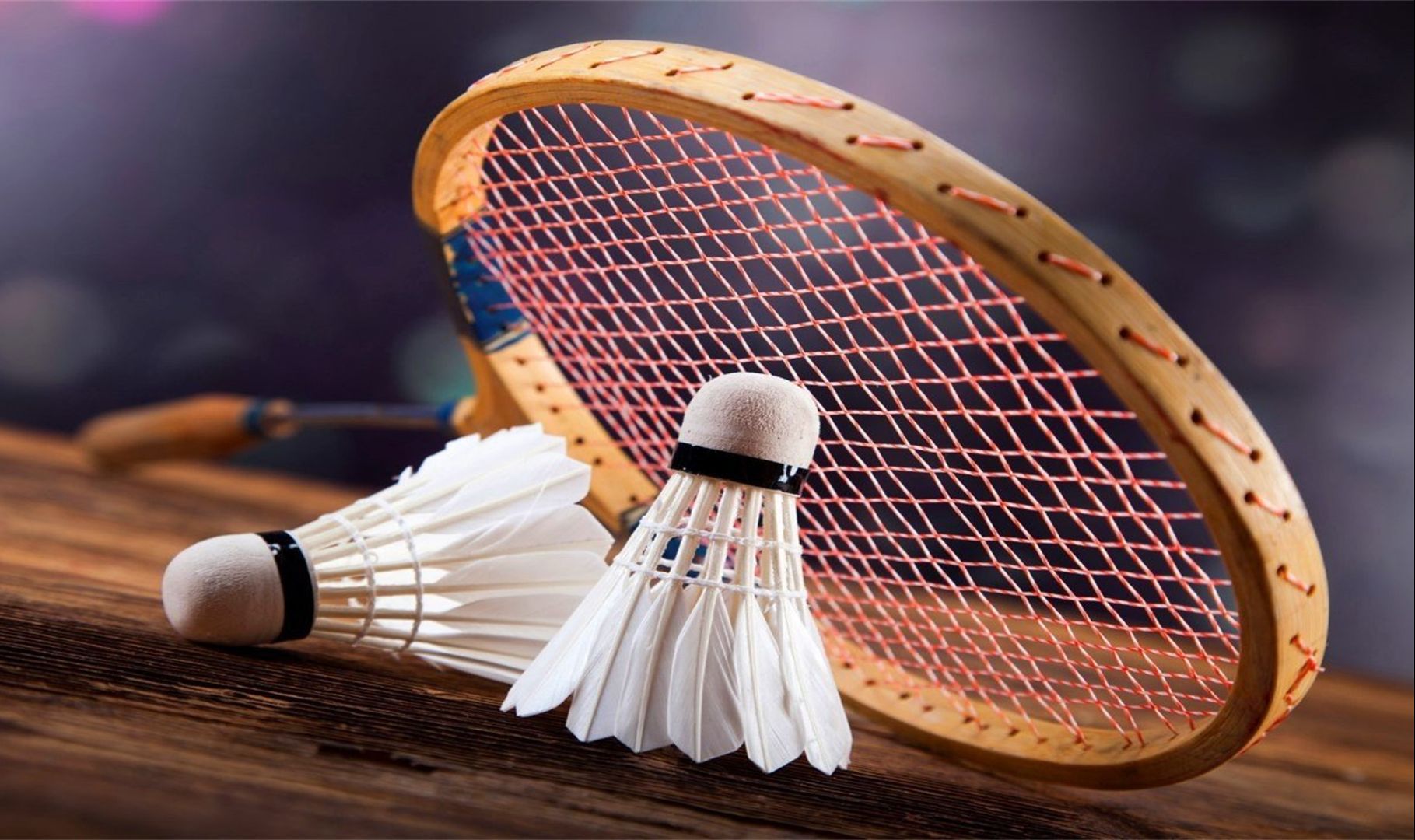 已经提出了 已经提出了